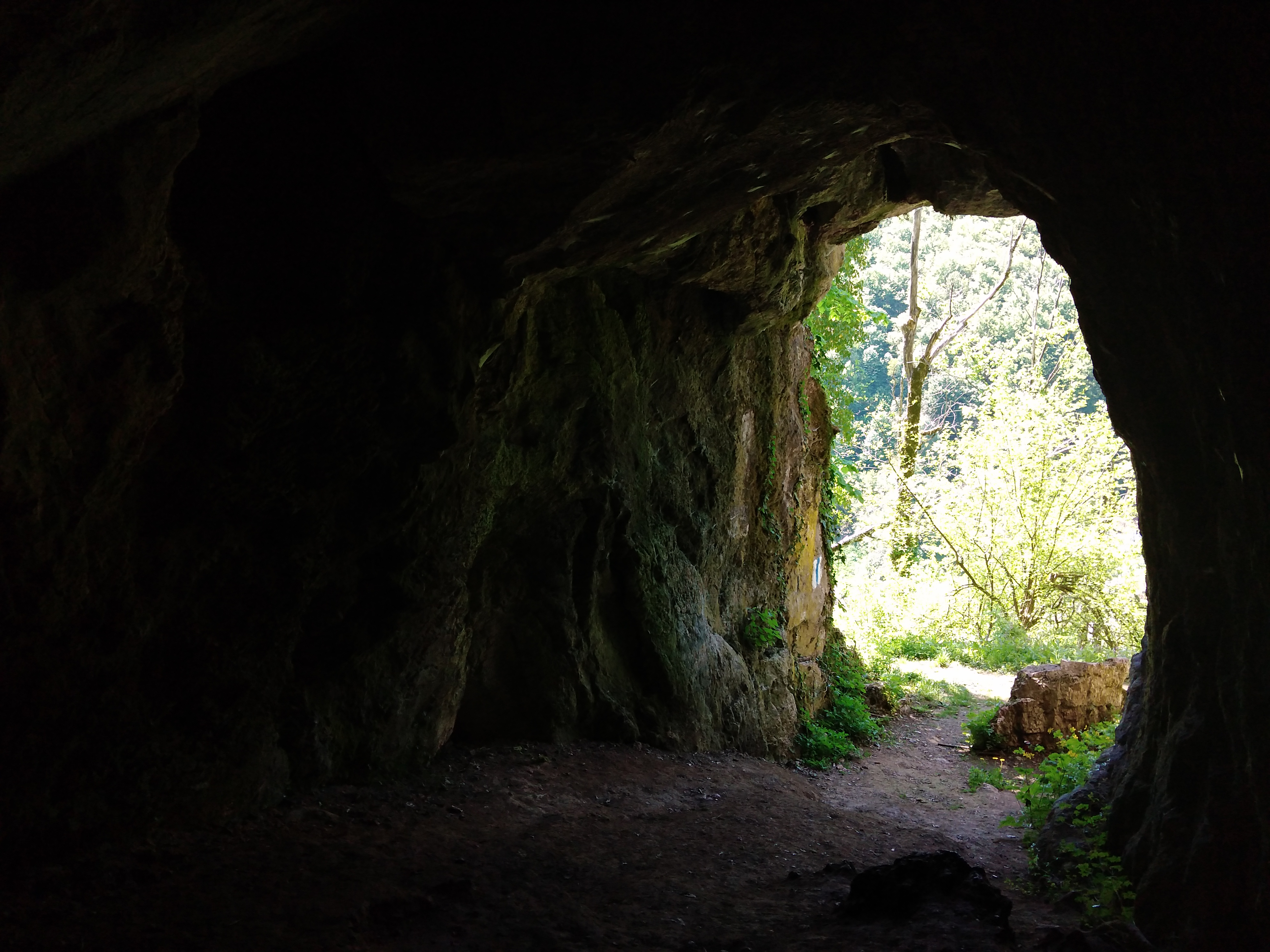 Peştera Liliecilor - Image 1